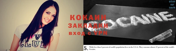 mix Богородицк