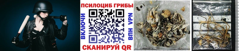 даркнет сайт  Рузаевка  KRAKEN зеркало  Галлюциногенные грибы GOLDEN TEACHER 